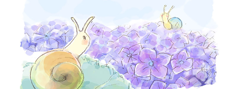 紫陽花とカタツムリのイラスト