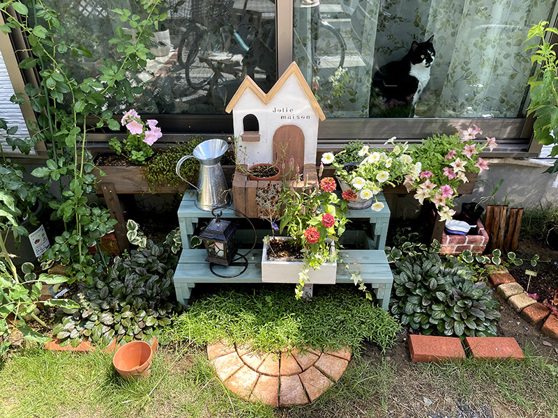 ガーデン雑貨と花と猫