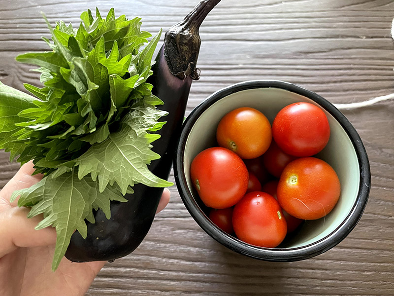 大葉と茄子とミニトマト